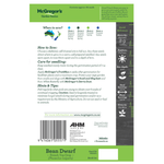 Seeds M6060 Bean - Dwarf French Top Crop