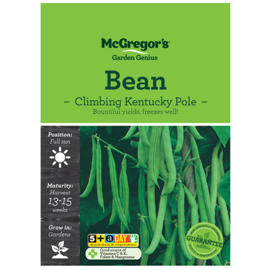 Seeds M6070 Bean - Climbing Kentucky Pole