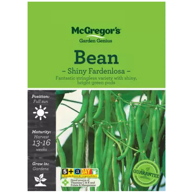 Seeds M6081 Beans Shiny Fardenlosa