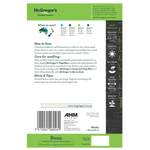 Seeds M6082 Bean - Stringless Scarlet Run