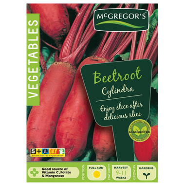 Seeds M6100 Beetroot - Cylinda