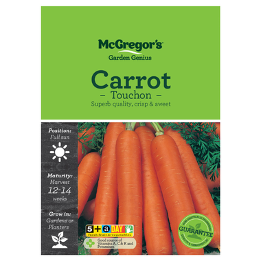 Seeds M6300 Carrot - Touchon