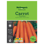 Seeds M6300 Carrot - Touchon