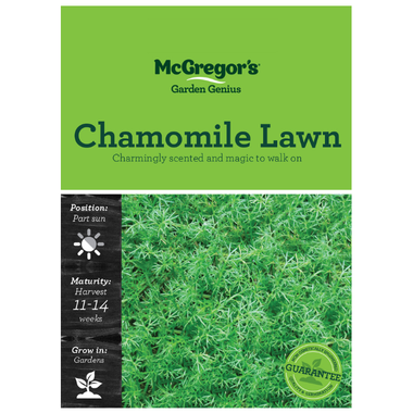 Seeds M6375 Chamomile Lawn