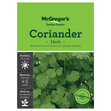 Seeds M6378 Coriander - Herb