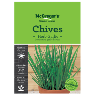Seeds M6380 Chives - Herb Garlic