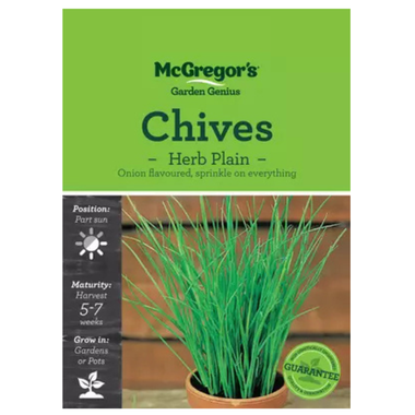 Seeds M6390 Chives - Herb Plain