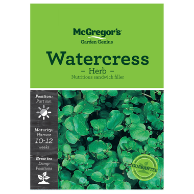 Seeds M6440 Watercress - Herbs