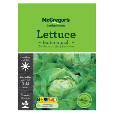 Seeds M6460 Lettuce - Buttercrunch