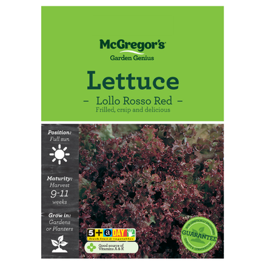 Seeds M6480 Lettuce - Lollo Rosso Red
