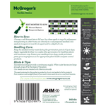 Seeds M6780 Silverbeet - Fordhook Green