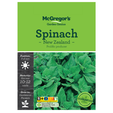 Seeds M6801 Spinach - New Zealand