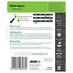 Seeds M6830 Spring Onion - Galloper F.1. Hybrid