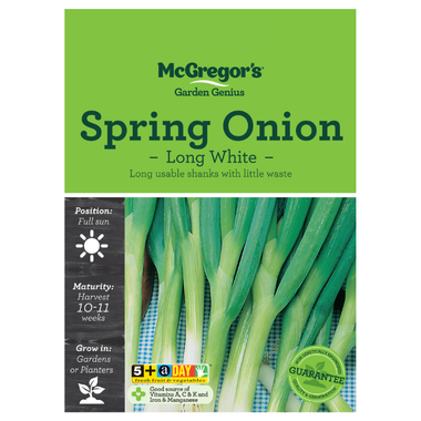 Seeds M6840 Spring Onion - Long White