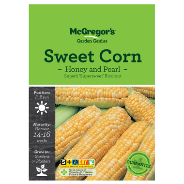 Seeds M6880 Sweetcorn - Honey & Pearl