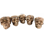 Skull 5pc 4.5 x 5cm
