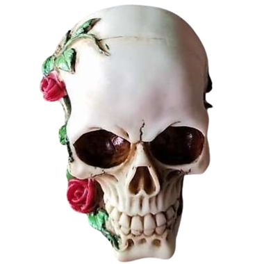 Skull with Rose Vine