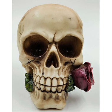 Skull With Roses