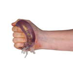 Smoosho's Super Squeeze Octopus