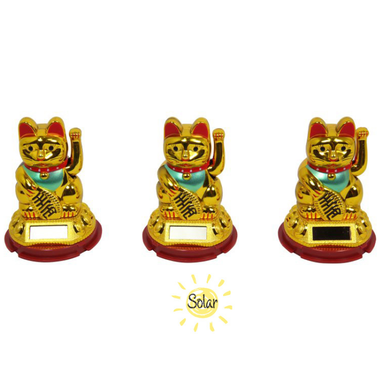 Solar Cat Groover