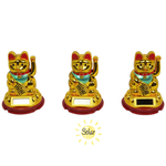 Solar Cat Groover