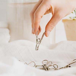 Stainless Steel Pegs 20pk
