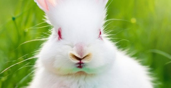 Easter
