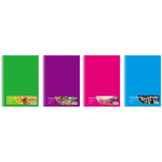 Visual Art Diary A4 - 110gsm Asst Colour Covers