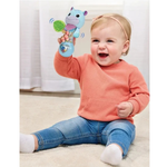 Vtech Happy Hippo Rattle
