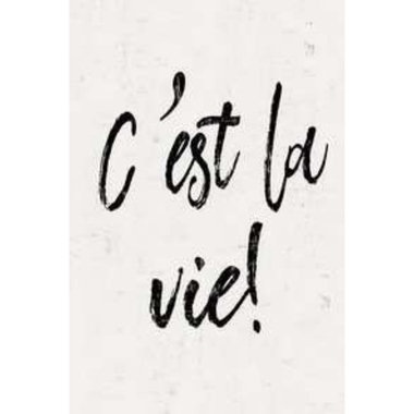 Wall Art - Cest La Vie (MDF) 40 x 60cm