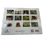 Wall Calendar A4 - Dogs & Puppies
