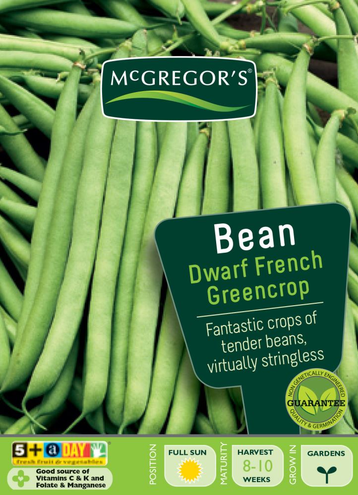 SEEDS M6040 BEANS DWARF FRENCH GREEN