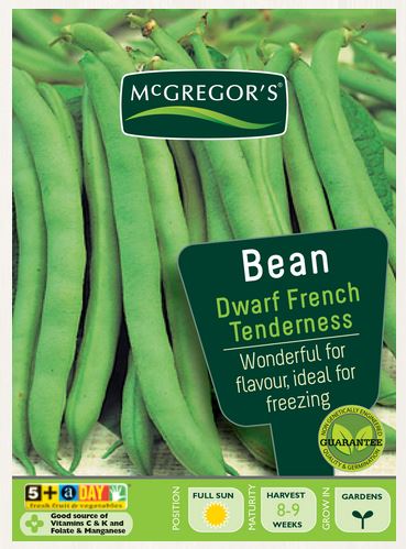 SEEDS M6050 BEANS DWARF FRENCH TENDER