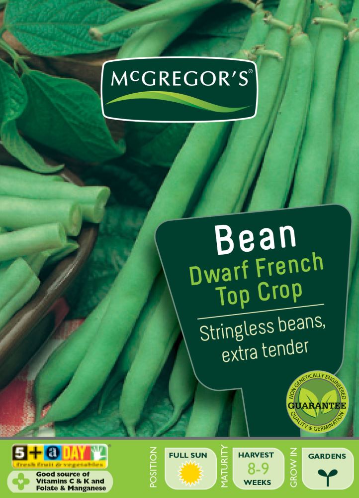 SEEDS M6060 BEANS DWARF FRENCH TOP CROP