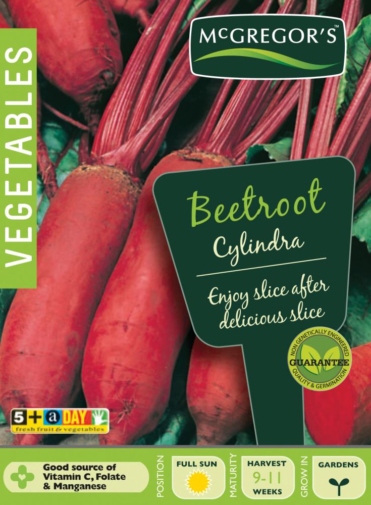 SEEDS M6100 BEETROOT CYLINDRA