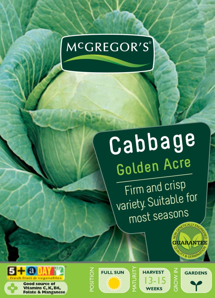 SEEDS M6220 CABBAGE GOLDEN ACRE