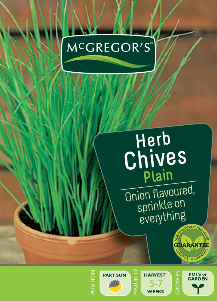 SEEDS M6390 HERBS CHIVES PLAIN