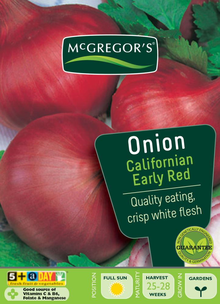 SEEDS M6520 ONION CALIF. EARLY RED