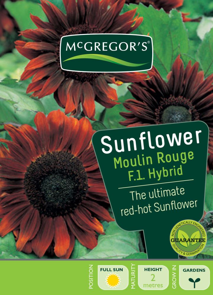 SEEDS M2835 SUNFLOWER MOULIN ROUGE