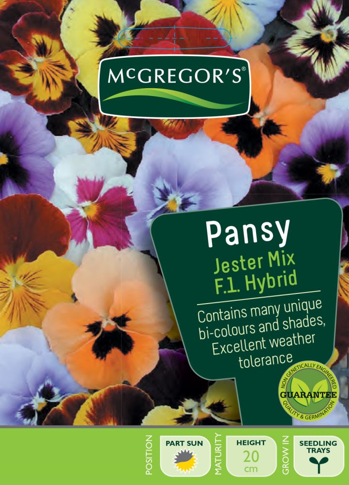 SEEDS M2630 PANSY JESTER MIXED FLOWER