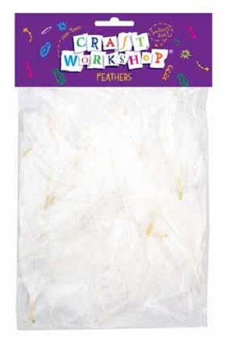 CRAFT FEATHERS WHITE SHORT 40PC